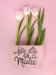 flores-dia-de-la-madre-floristeria-24h-granada-pinos-puente