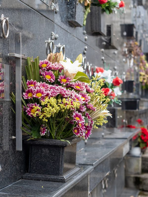 flores-dia-de-todos-los-santos-floristeria-24h-granada-pinos-puente