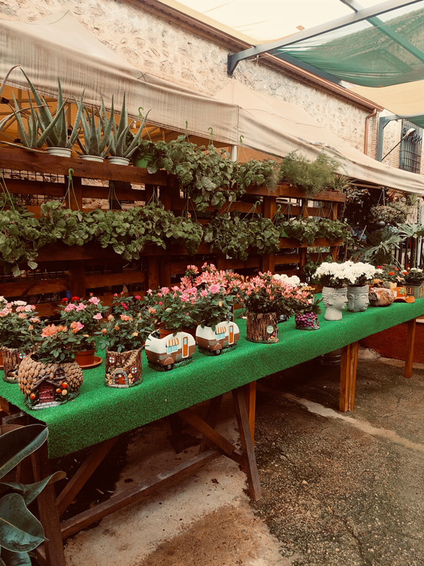floristeria-24h-pinos-puente-granada