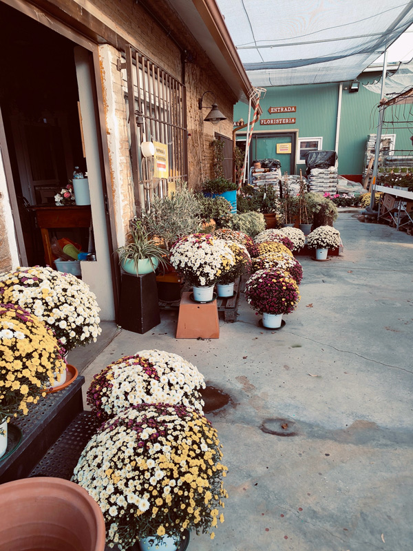 floristeria-viviero-24h-pinos-puente-granada
